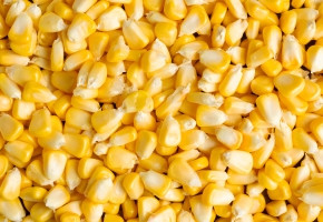 Sweet Corn-Sweet 80(500gm)